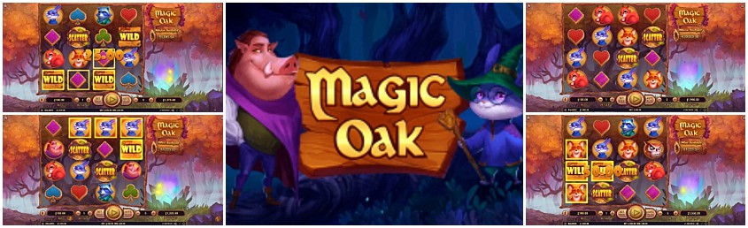 magic oak